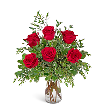 Half Dozen Red Roses