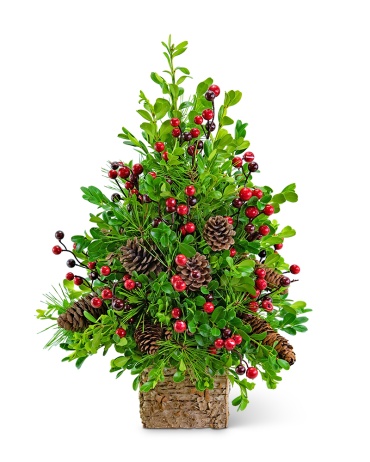 Adorned Boxwood Tree