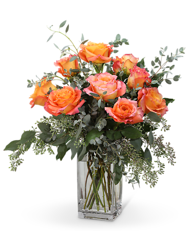 Free Spirit Roses (9)
