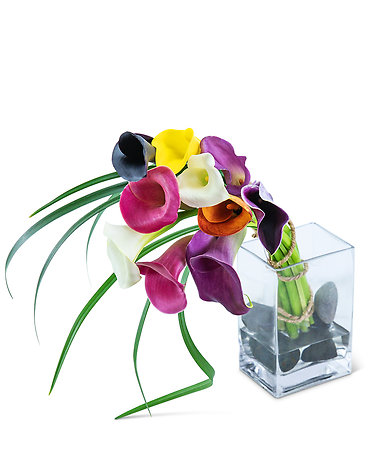 Captivating Calla Lilies