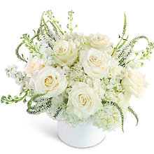 Chantilly Creme