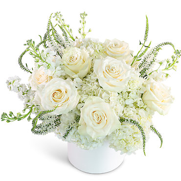 Chantilly Creme
