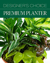 Designer\'s Choice Premium Planter