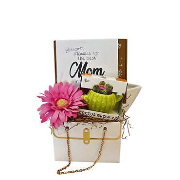 Mom\'s Garden Package