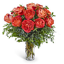 One Dozen Wild Spirit Roses