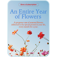 Flower Subscription