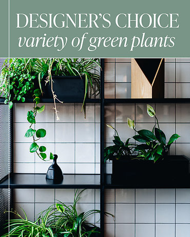 Designer\'s Choice - Variety of Green Plants in a Basket