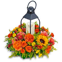 Goldenrod Lantern