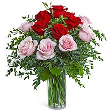 One Dozen Perfect Pink and Red Roses