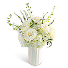 Simply Pure White