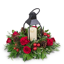 Crimson and Pine Lantern