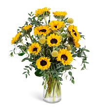 Wildflower Sunshine