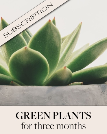 Plant Subscription (3)