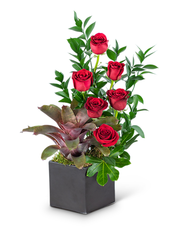 Perfect Love Planter