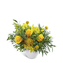 Zest in Bloom