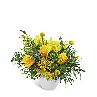 Zest in Bloom