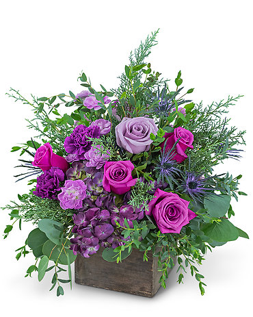 Violet Enchantment