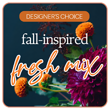 Designer\'s Choice Fall-Inspired